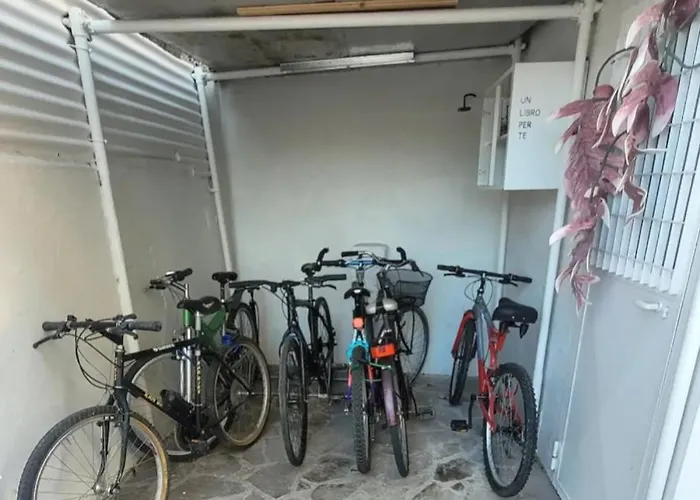 Estivo Levante - -rn-